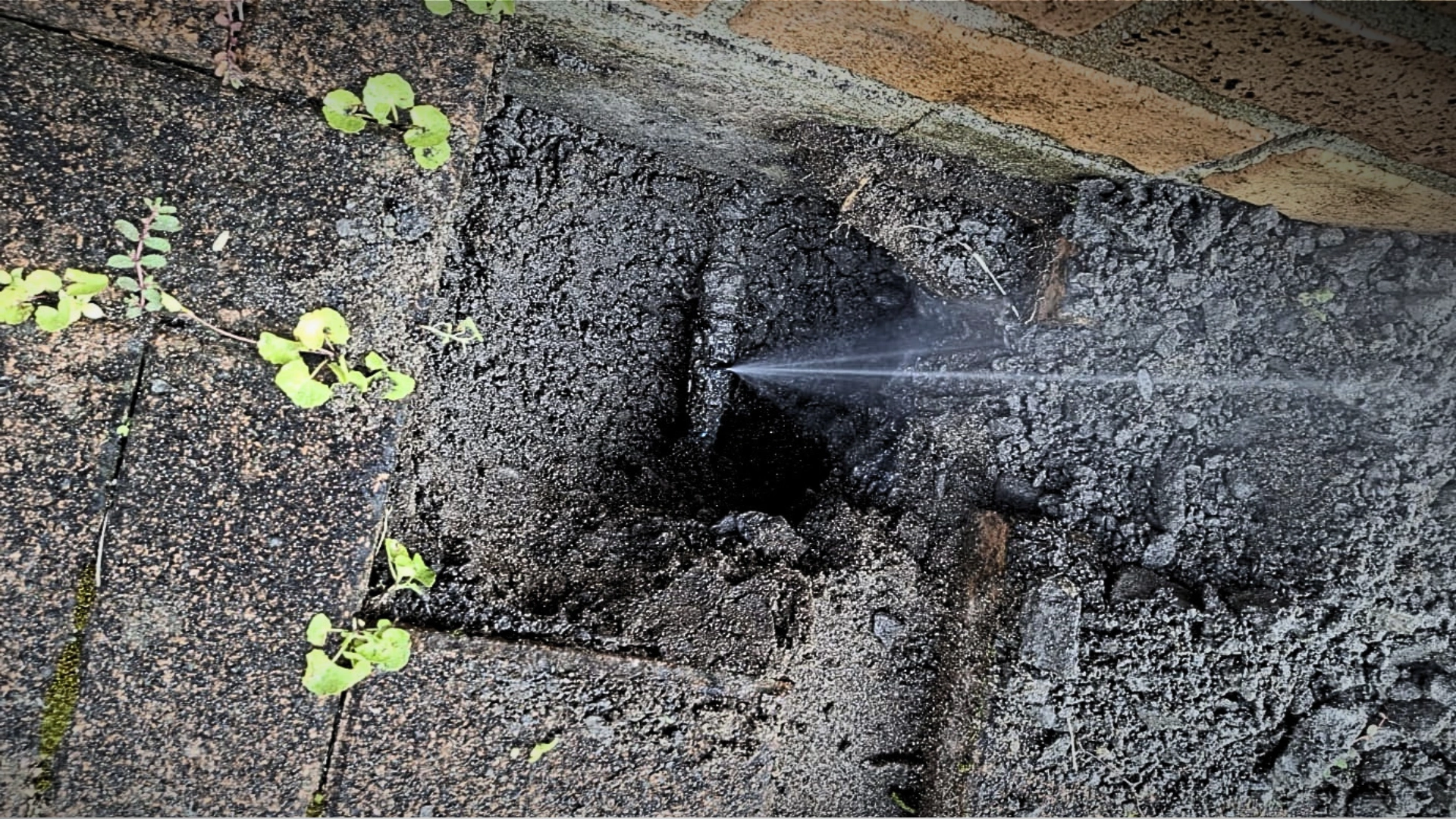 24/7 Emergency Plumber New Plymouth
